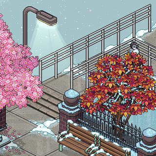 Photo by Segall