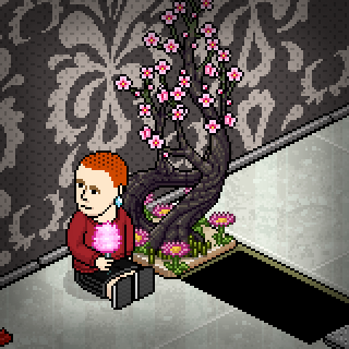 Photo by Davizinho