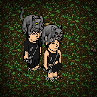Photo by =_Mickey_=
