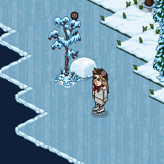 Photo by CoisandoHabbo