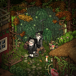 Photo by LaNuit!