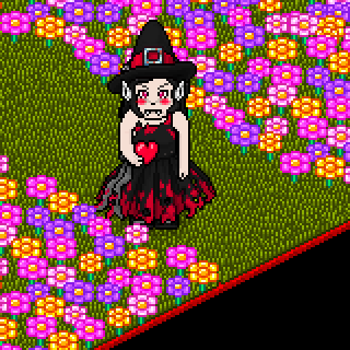 Photo by Aelin_.