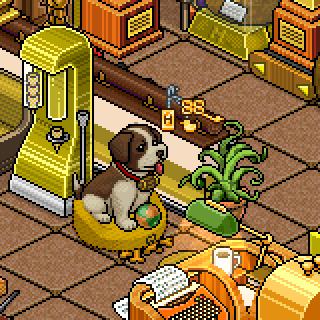 Photo by SktzZ