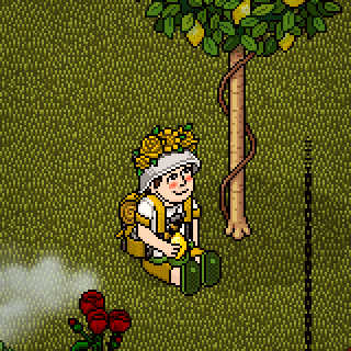 Photo by Wibee
