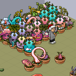 Photo by Hesitou