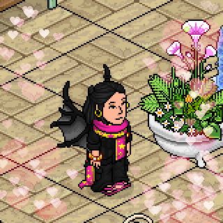 Photo by Cacau!