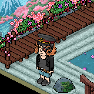 Photo by Mussekopf