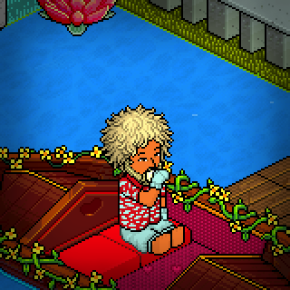 Photo by Play.Habbo