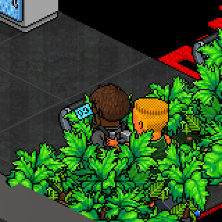 Photo by Play.Habbo