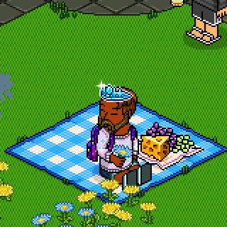 Photo by Play.Habbo