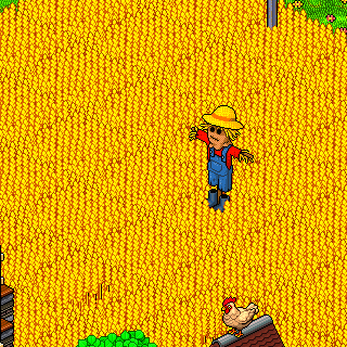 Photo by Teseeu