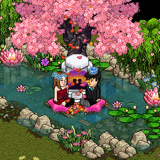 Photo by Moranguinha233