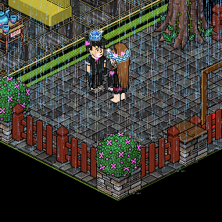 Photo by Moranguinha233