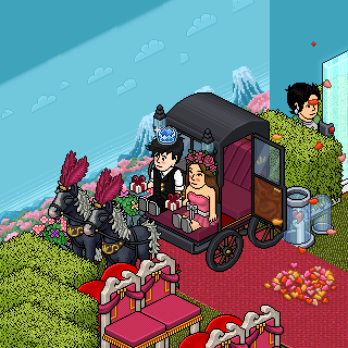 Photo by Moranguinha233