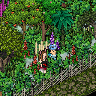 Photo by Moranguinha233