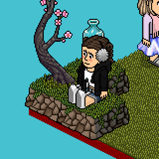 Photo by Sobrevivendo.