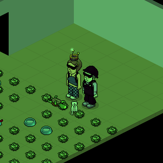 Photo by Zeyn.
