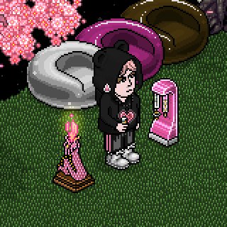 Photo by vik