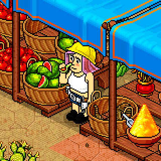 Photo by KiHabboVirus