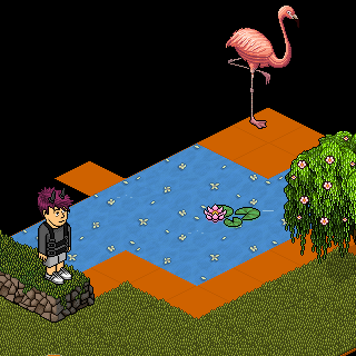 Photo by MenoMau