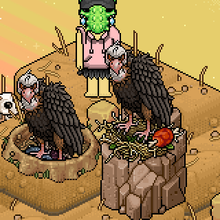 Photo by .no.habbo.