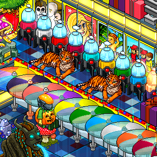 Photo by 8Diego