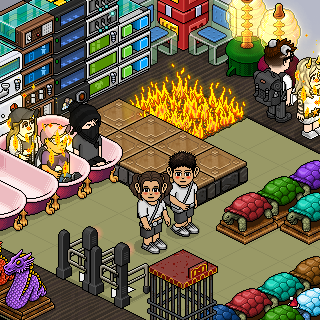 Photo by Knt