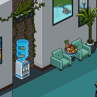 Photo by Dedicado