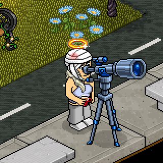 Photo by Perfeitinha