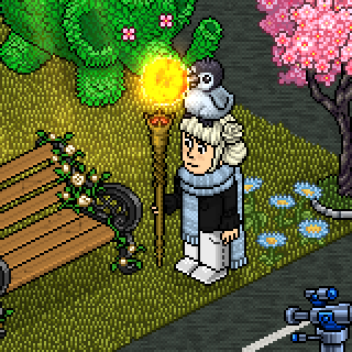 Photo by Perfeitinha