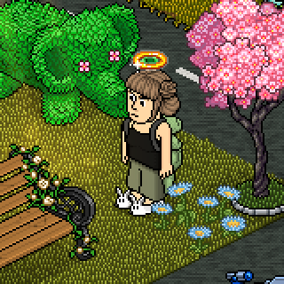 Photo by Perfeitinha