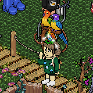 Photo by Perfeitinha