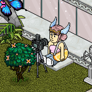 Photo by Perfeitinha