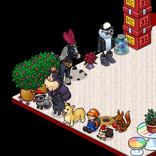Photo by Hauk