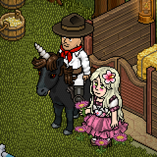 Photo by Kfa!