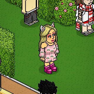 Photo by K!habbo