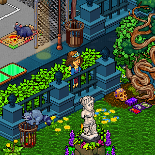 Photo by Habboz