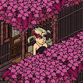Photo by malandraa