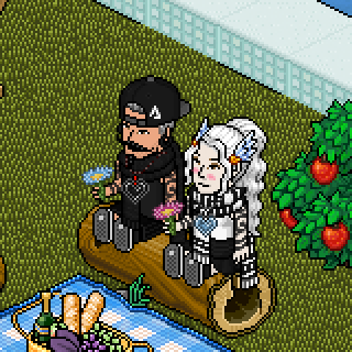 Photo by Bruno!