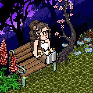 Photo by ,cdzinha
