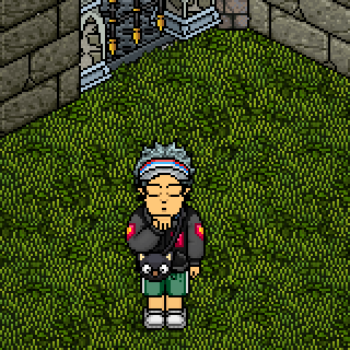 Photo by Teixeiira