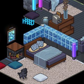 Photo by Hefne