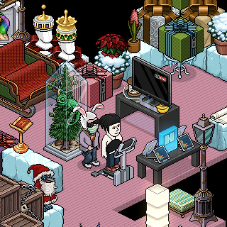 Photo by Alexe