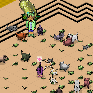 Photo by cuco13