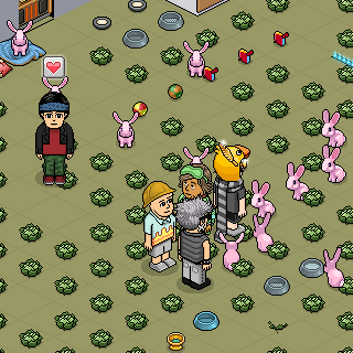 Photo by cuco13