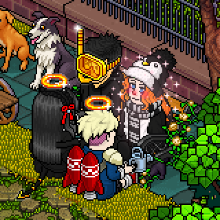 Photo by -Bear!