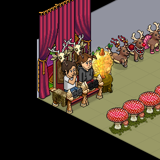 Photo by Noruge