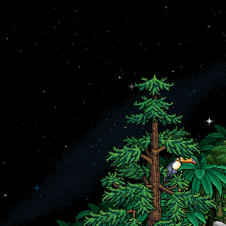 Photo by Pokebolha