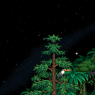 Photo by Pokebolha