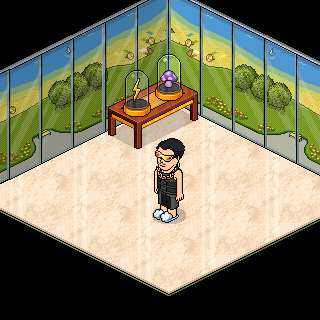Photo by Toffes
